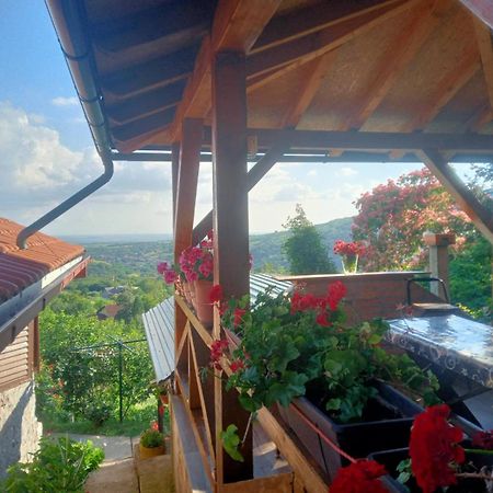 Apartment Noletov Vidikovac Vrdnik Ngoại thất bức ảnh