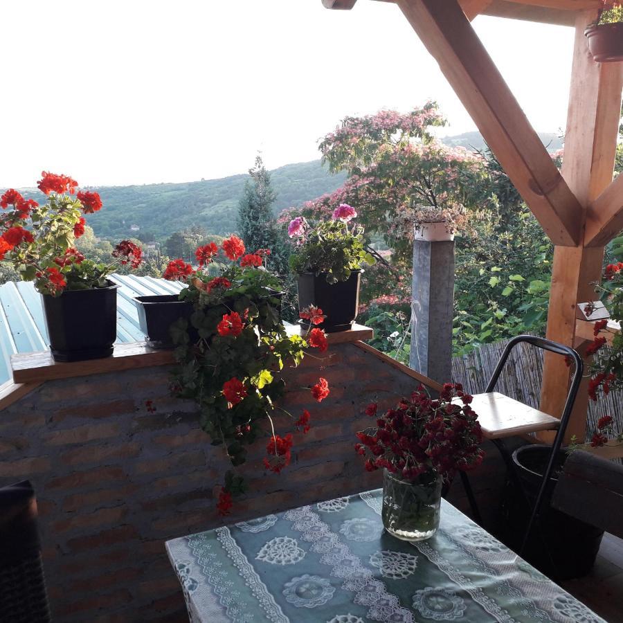 Apartment Noletov Vidikovac Vrdnik Ngoại thất bức ảnh