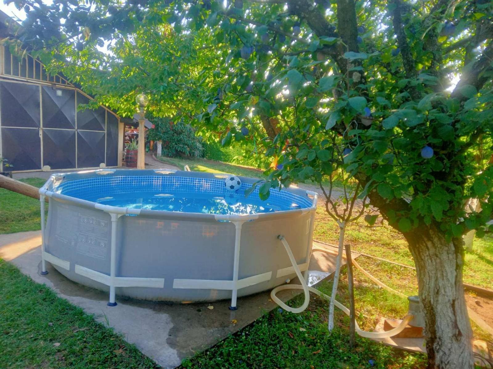 Apartment Noletov Vidikovac Vrdnik Ngoại thất bức ảnh