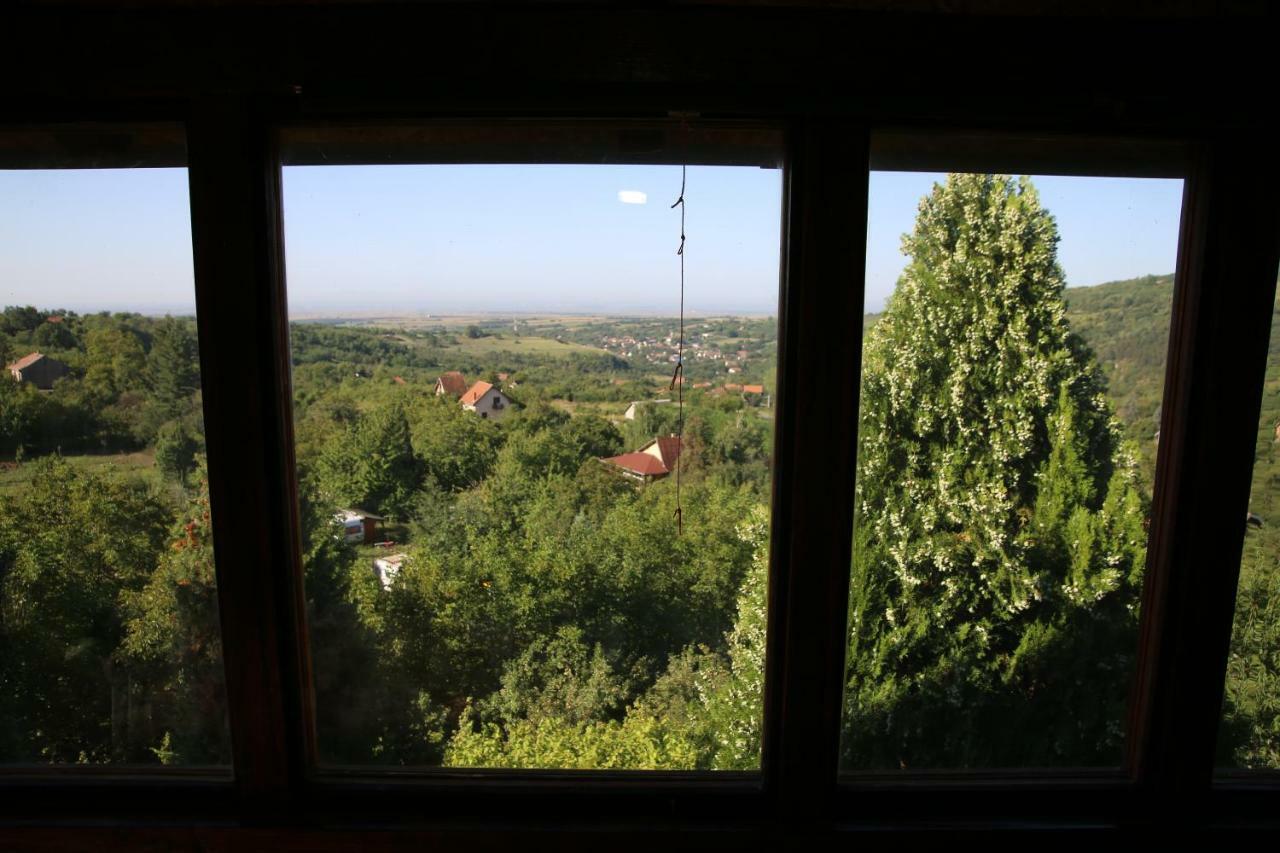 Apartment Noletov Vidikovac Vrdnik Ngoại thất bức ảnh