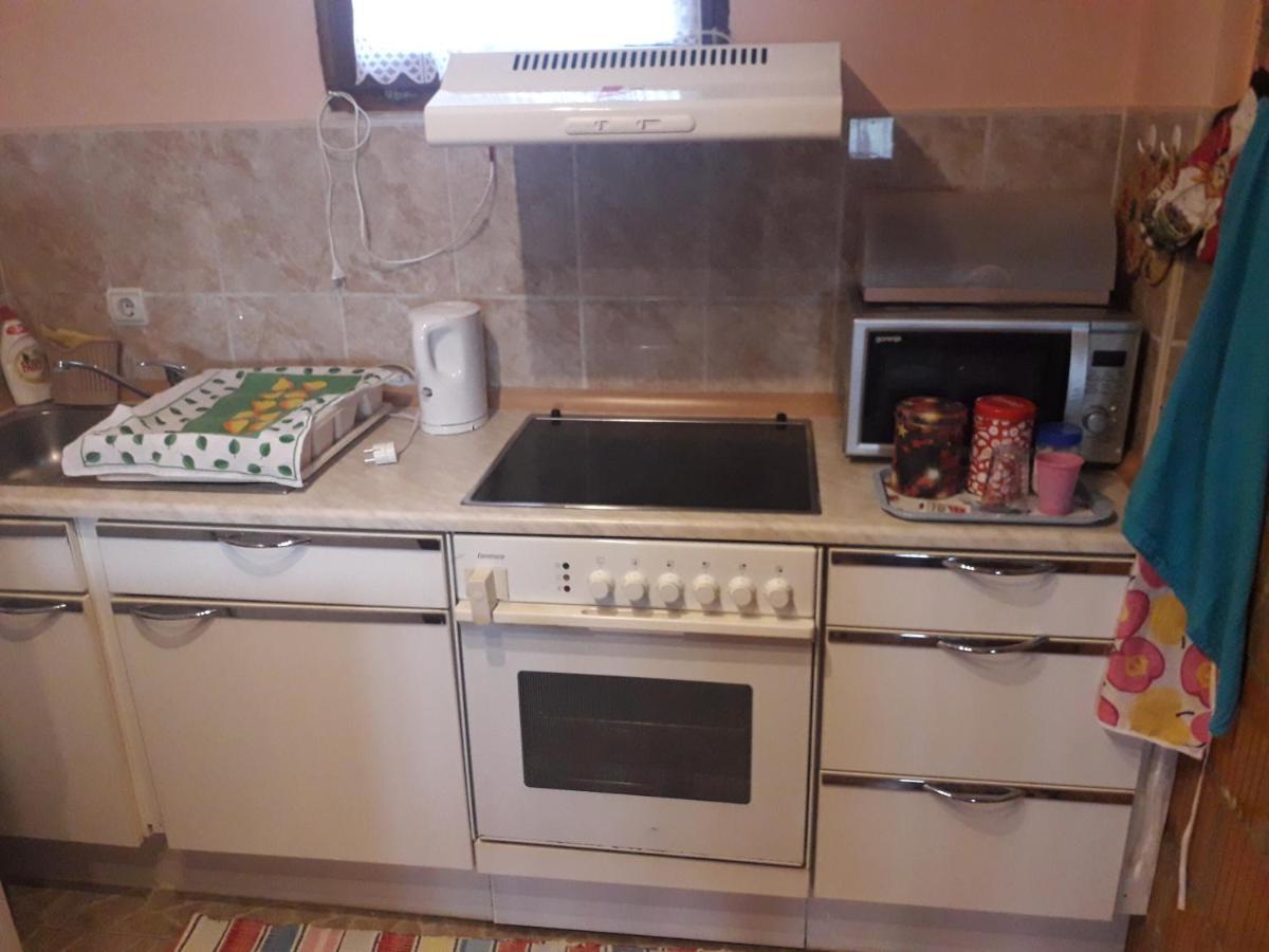 Apartment Noletov Vidikovac Vrdnik Ngoại thất bức ảnh